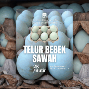 Telur Bebek Sawah