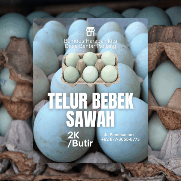 Telur Bebek Sawah